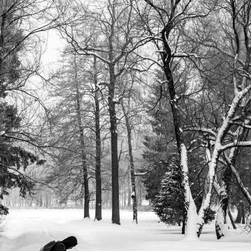 Photo #7027108