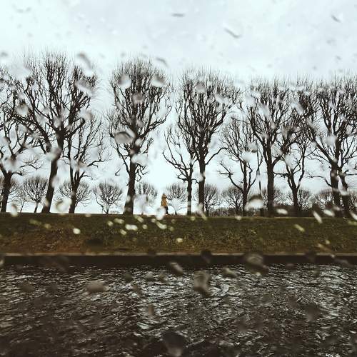 Photo #7027144