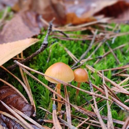 Photo #7027157