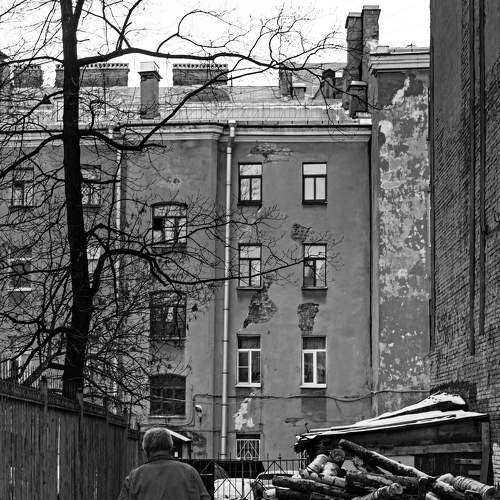 Photo #7027187