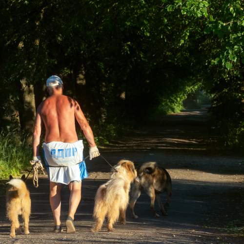 Photo #7027586