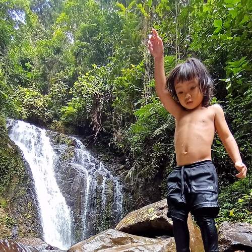 Photo #7027760