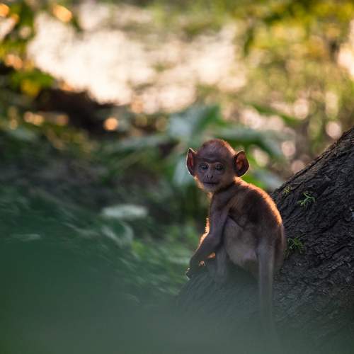 Photo #7027993