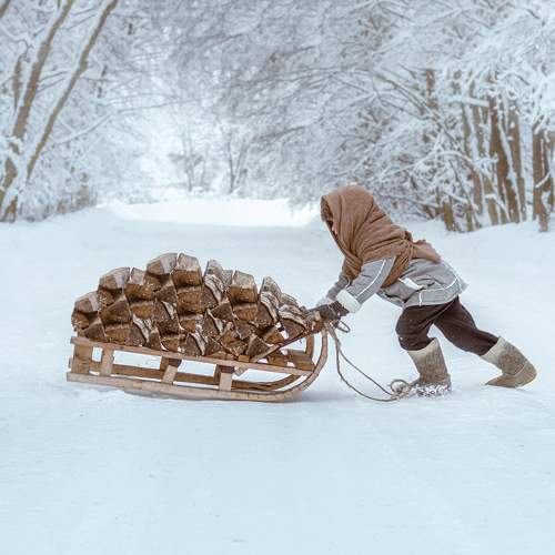 Photo #7028066