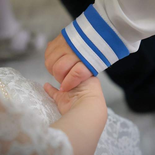 Photo #7028380