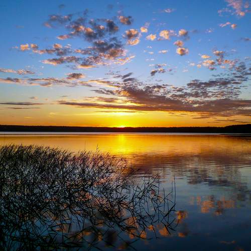Photo #7028585