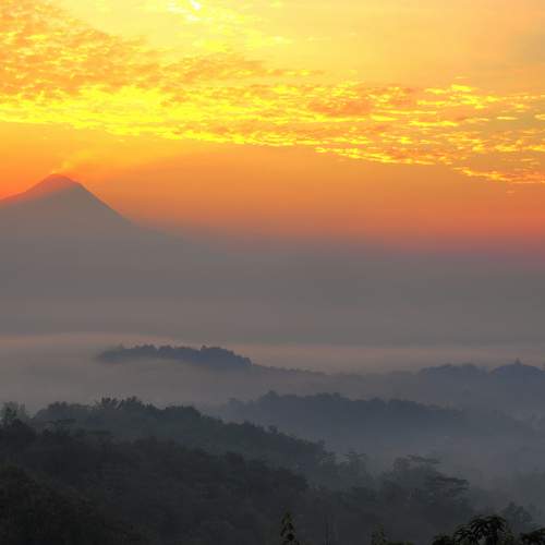 Photo #7028681