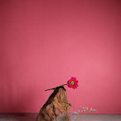 Photo #7028705