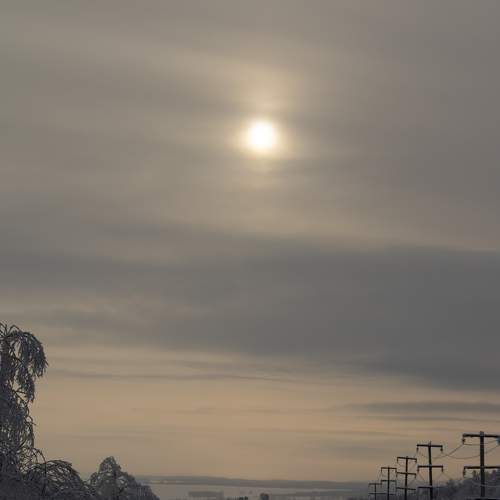 Photo #7028711
