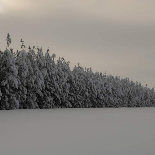 Photo #7028714