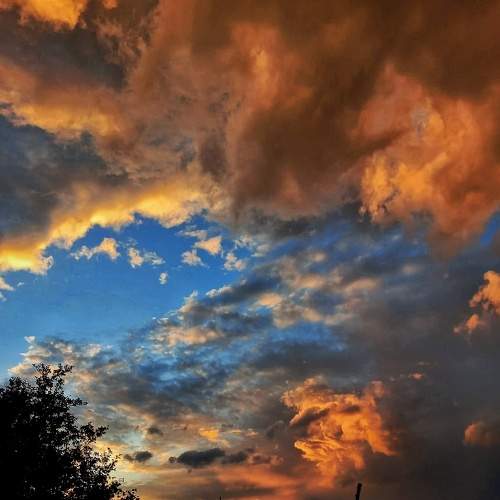 Photo #7028715
