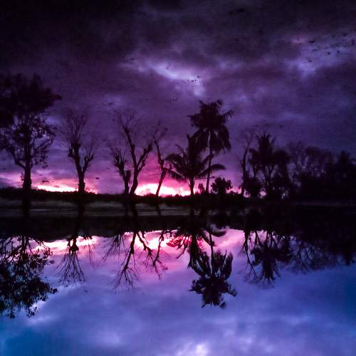 Purple Sunset