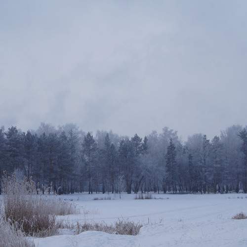 Photo #7029018