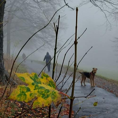 Photo #7029125