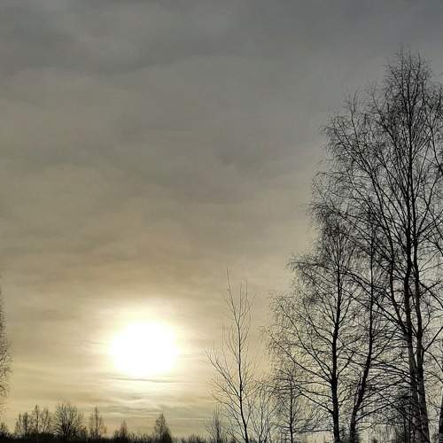 Photo #7029621