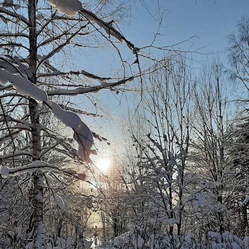 Photo #7029622