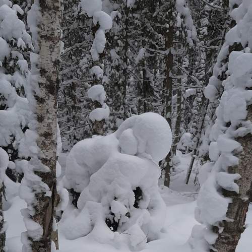 Photo #7029653