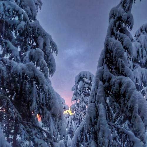 Fire & Ice