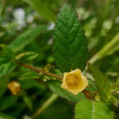 Photo #7030025