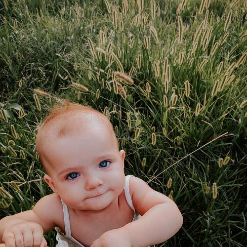 Photo #7030028