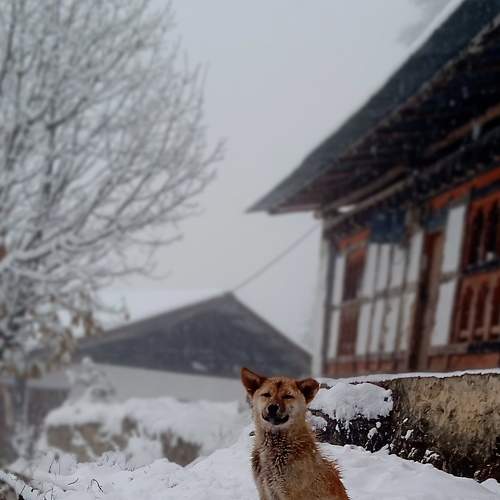 Photo #7030130