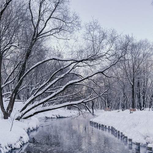 Photo #7030191