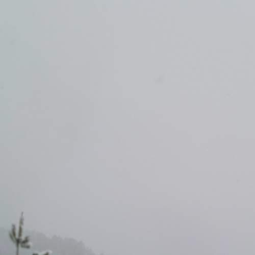 Photo #7030250