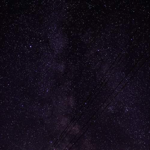 Photo #7030648