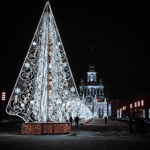 Photo #7030725