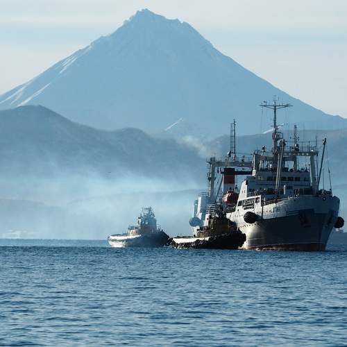 Photo #7030810