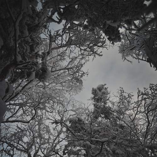 Photo #7030915