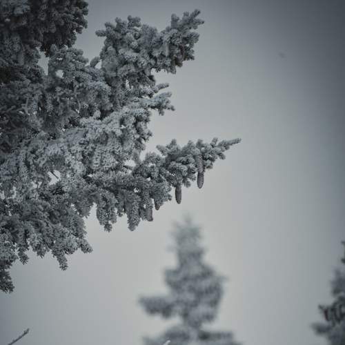 Photo #7030947