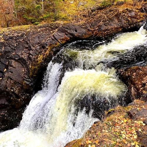 Photo #7030976