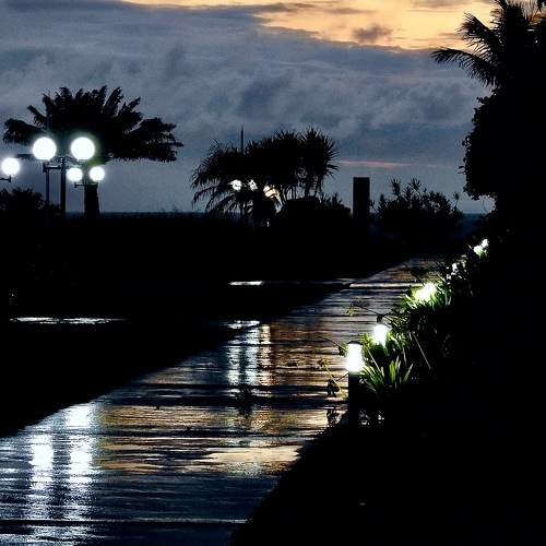 After the rain in the sunrise