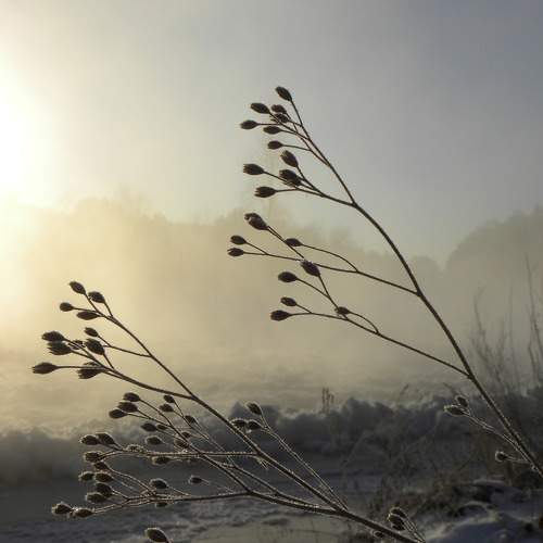 Photo #7031208
