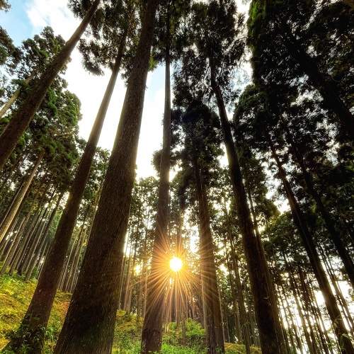 Photo #7031405