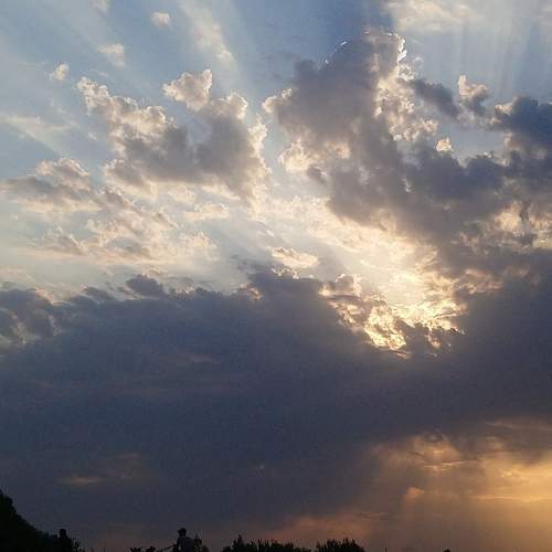 Photo #7031502