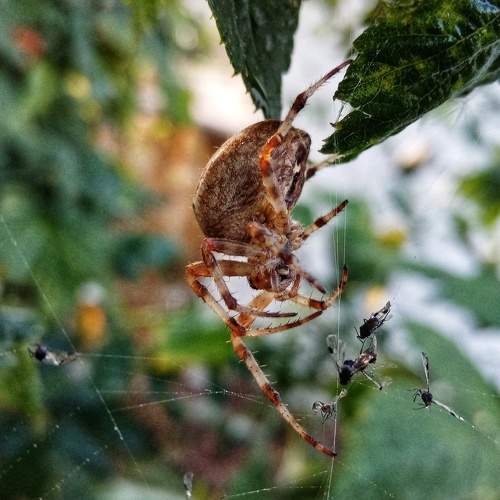 Photo #7031639
