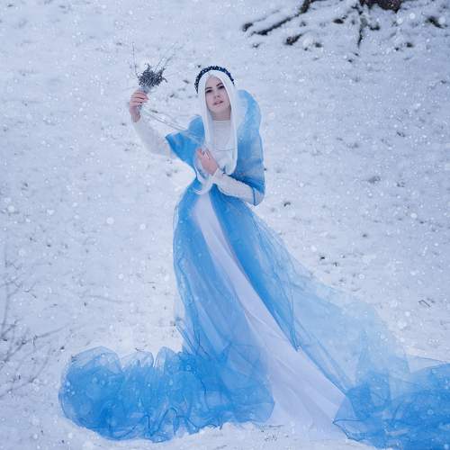 Photo #7032228
