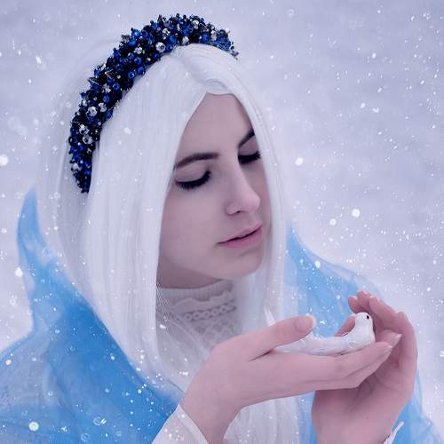 Photo #7032239