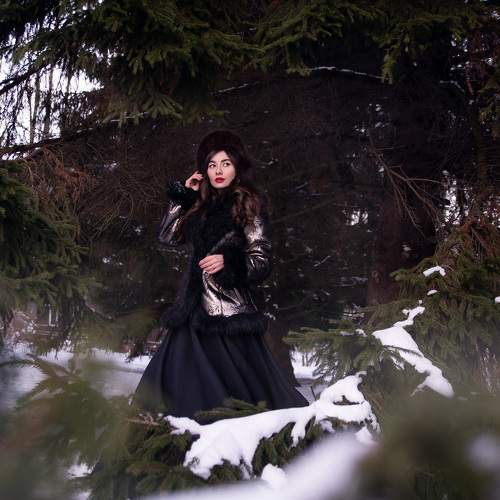 Photo #7032267