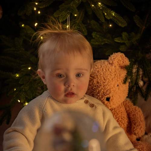Photo #7032458
