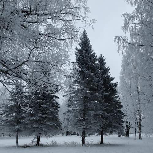 Photo #7032549