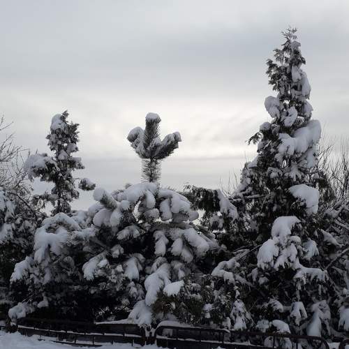 Photo #7032562