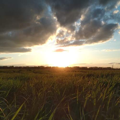 Photo #7032615