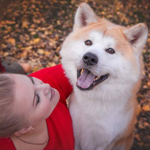 Photo #7032991