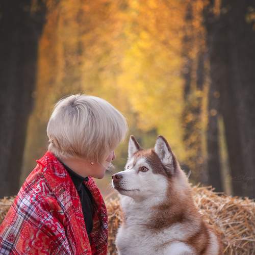 Photo #7033003