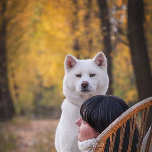 Photo #7033004