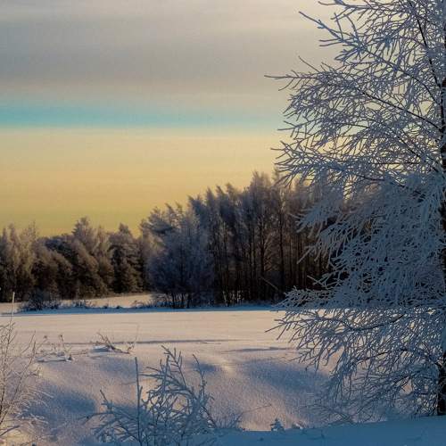 Photo #7033124
