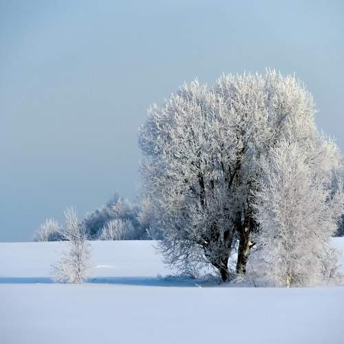 Photo #7033125